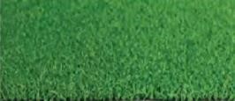 grass4